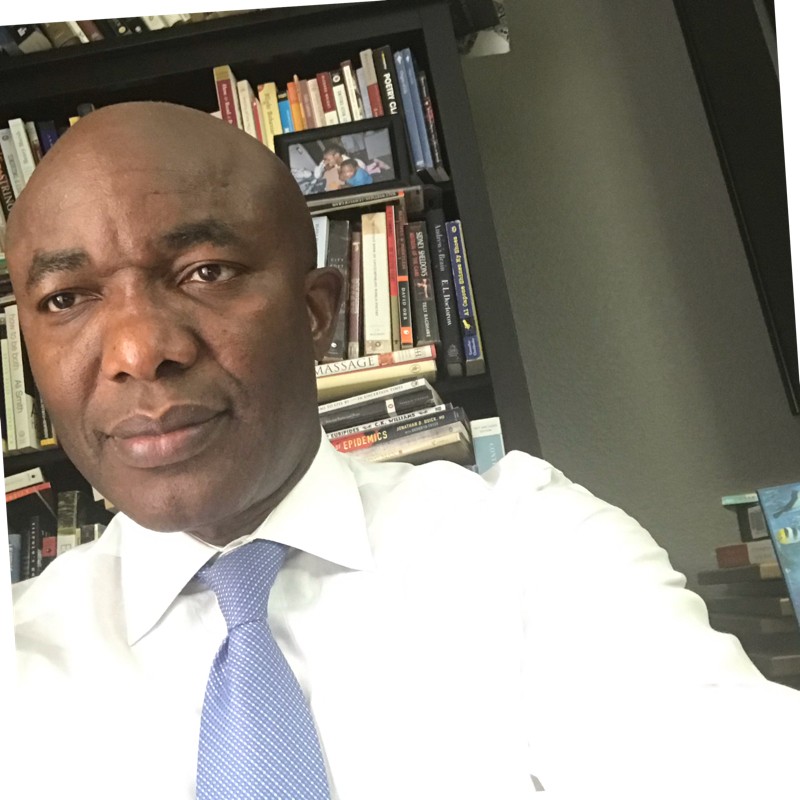 Portrait of Dr. Chike M. Nzerue